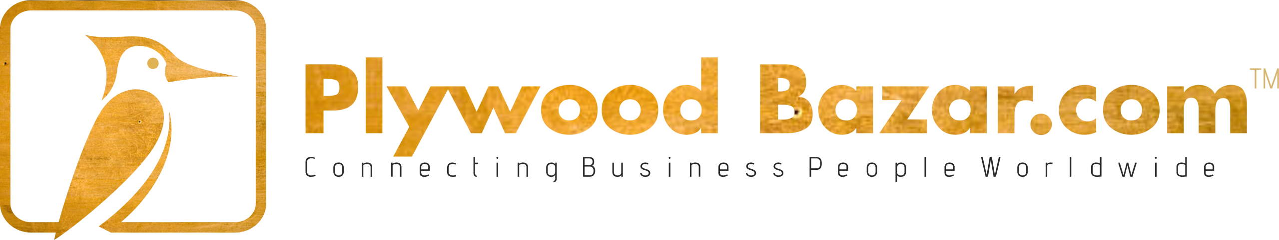 logo6.a87540b9afeafbb8d1c9-scaled.png
